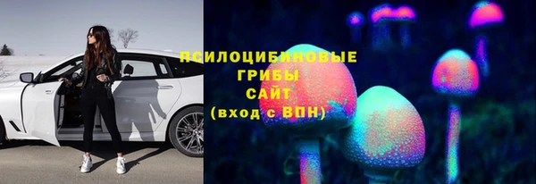 СК Абаза