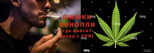 дмт Новокубанск