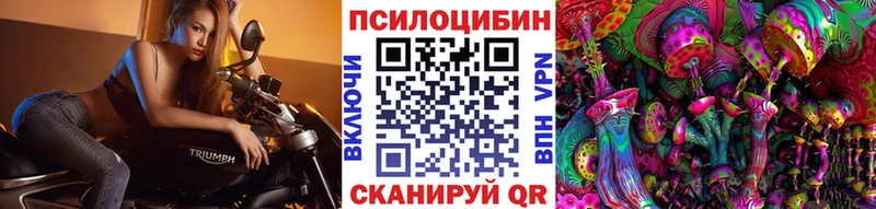 Галлюциногенные грибы Psilocybine cubensis  наркошоп  Рыльск 